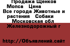 Продажа Щенков Мопса › Цена ­ 18 000 - Все города Животные и растения » Собаки   . Московская обл.,Железнодорожный г.